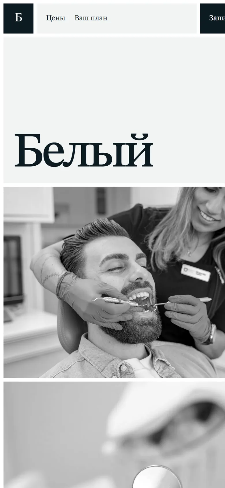 Белый: концепт сайта на телефоне